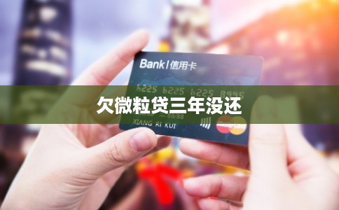欠微粒贷三年没还