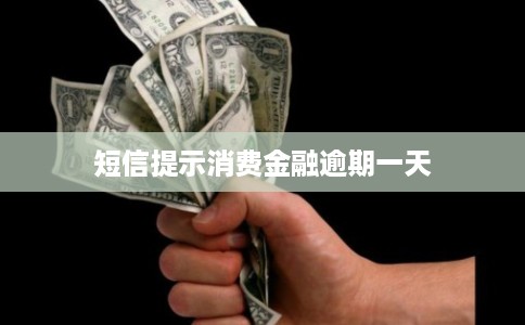 短信提示消费金融逾期一天