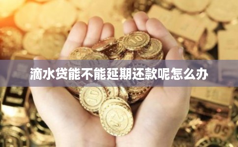 滴水贷能不能延期还款呢怎么办