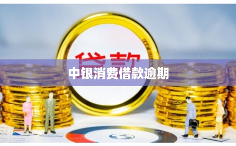 中银消费借款逾期 中银消费借款逾期