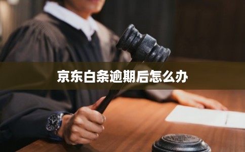 京东白条逾期后怎么办