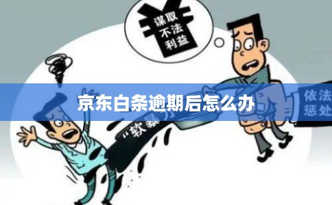 京东白条逾期后怎么办