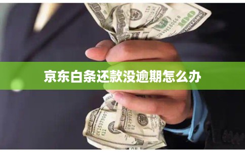 京东白条还款没逾期怎么办 京东白条还款没逾期怎么办