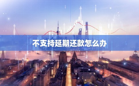 不支持延期还款怎么办 不支持延期还款怎么办
