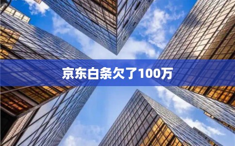 京东白条欠了100万 京东白条欠了100万