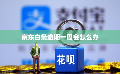 京东白条逾期一周会怎么办