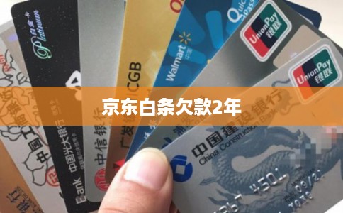 京东白条欠款2年