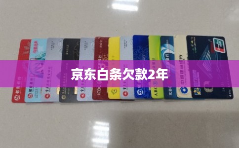 京东白条欠款2年