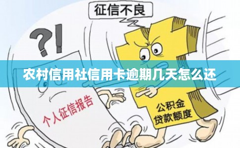 农村信用社信用卡逾期几天怎么还