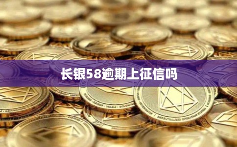 长银58逾期上征信吗