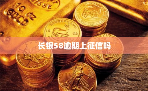 长银58逾期上征信吗