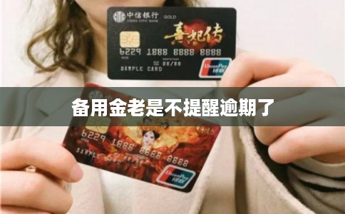 备用金老是不提醒逾期了