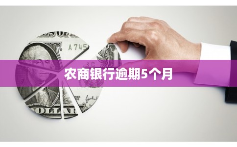 农商银行逾期5个月
