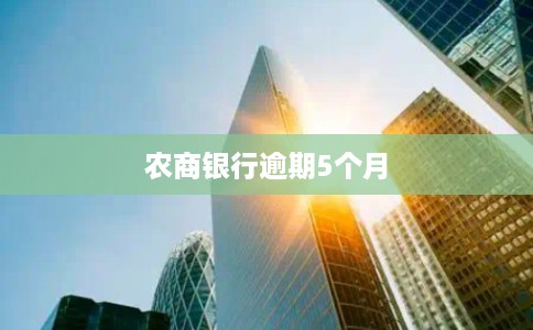 农商银行逾期5个月