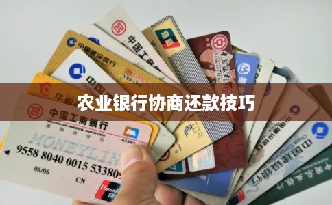 农业银行协商还款技巧 农业银行协商还款技巧