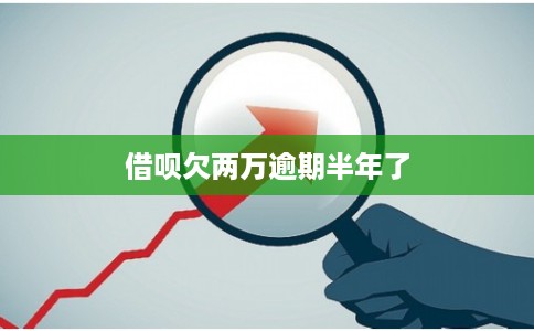 借呗欠两万逾期半年了 借呗欠两万逾期半年了