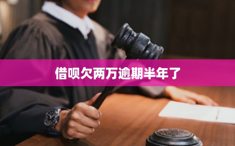 借呗欠两万逾期半年了