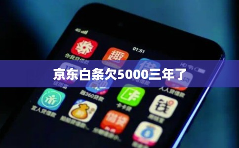 京东白条欠5000三年了 京东白条欠5000三年了