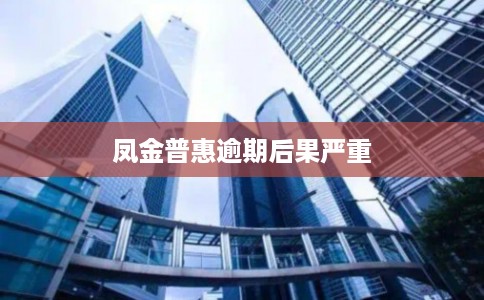 凤金普惠逾期后果严重 凤金普惠逾期后果严重