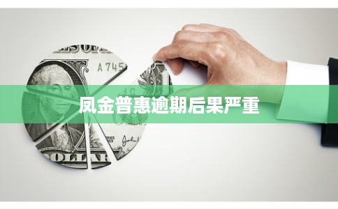 凤金普惠逾期后果严重 凤金普惠逾期后果严重