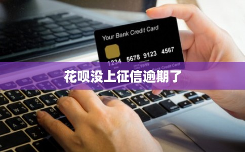花呗没上征信逾期了 花呗没上征信逾期了