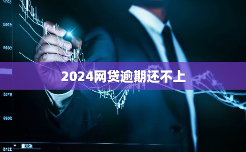 2024网贷逾期还不上
