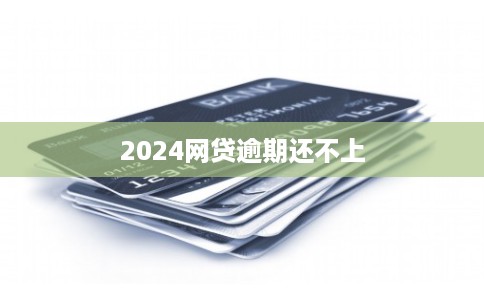 2024网贷逾期还不上