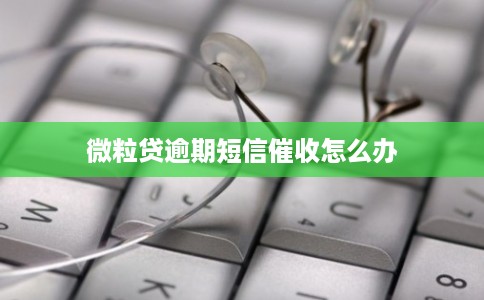 微粒贷逾期短信催收怎么办 微粒贷逾期短信催收怎么办