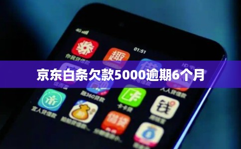 京东白条欠款5000逾期6个月 京东白条欠款5000逾期6个月