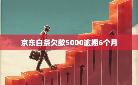 京东白条欠款5000逾期6个月 京东白条欠款5000逾期6个月
