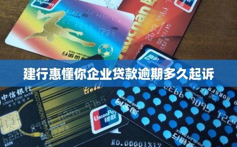 建行惠懂你企业贷款逾期多久起诉