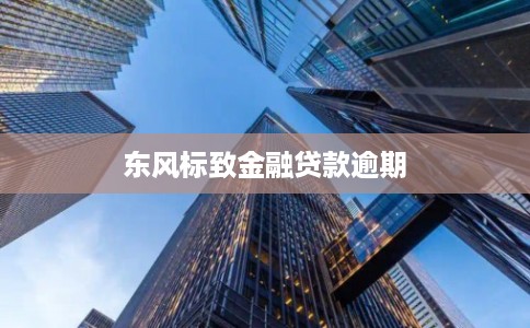 东风标致金融贷款逾期