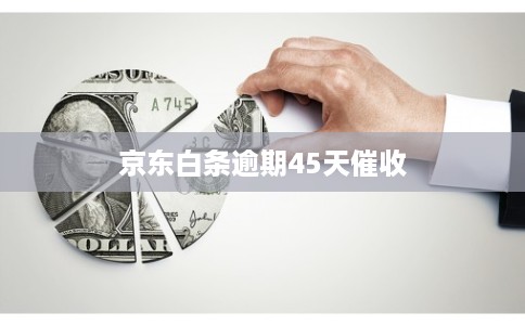 京东白条逾期45天催收 京东白条逾期45天催收