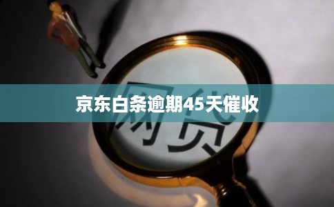 京东白条逾期45天催收 京东白条逾期45天催收