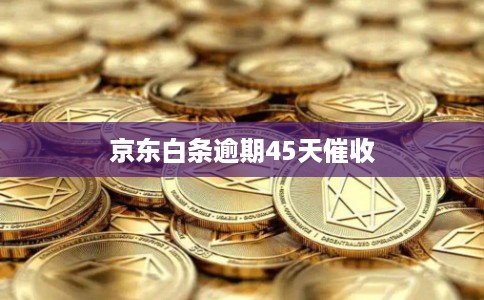 京东白条逾期45天催收