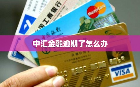 中汇金融逾期了怎么办 中汇金融逾期了怎么办