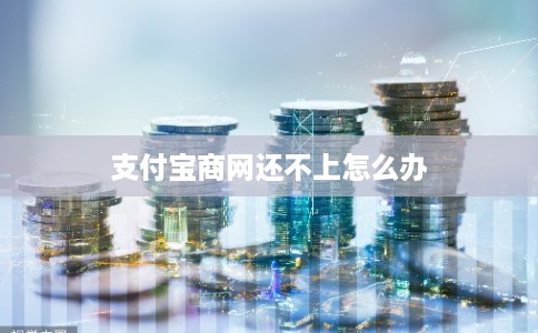 支付宝商网还不上怎么办 支付宝商网还不上怎么办