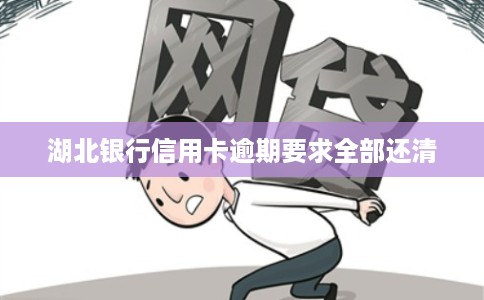 湖北银行信用卡逾期要求全部还清 湖北银行信用卡逾期要求全部还清