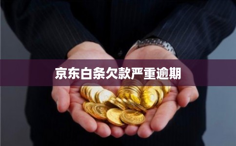 京东白条欠款严重逾期 京东白条欠款严重逾期