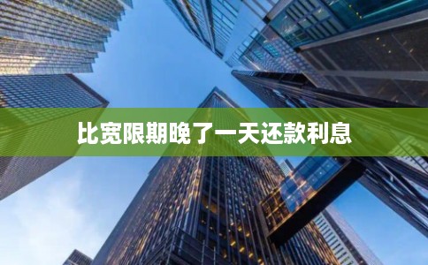 比宽限期晚了一天还款利息