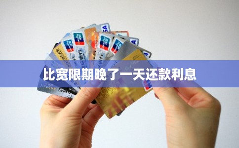 比宽限期晚了一天还款利息