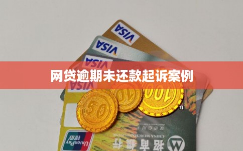 网贷逾期未还款起诉案例 网贷逾期未还款起诉案例