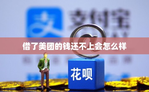 借了美团的钱还不上会怎么样