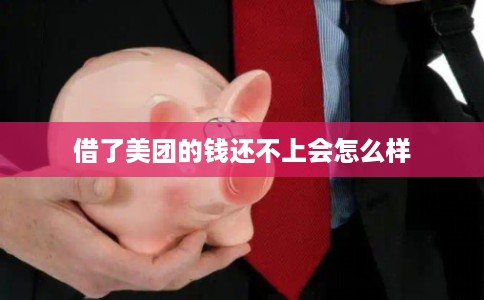 借了美团的钱还不上会怎么样