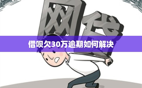 借呗欠30万逾期如何解决