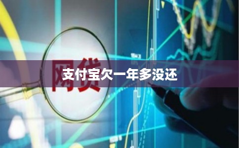 支付宝欠一年多没还