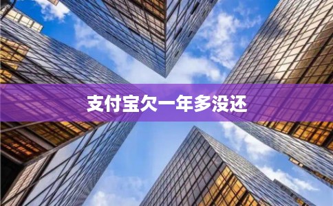 支付宝欠一年多没还