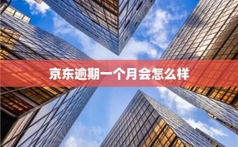 京东逾期一个月会怎么样