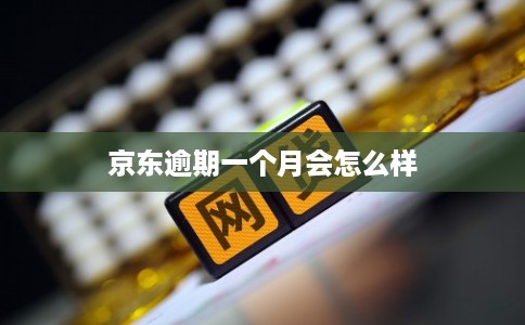 京东逾期一个月会怎么样