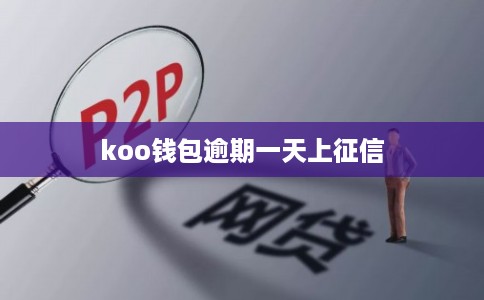 koo钱包逾期一天上征信
